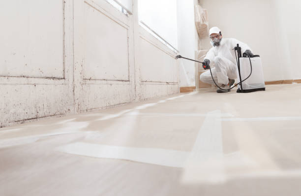 24/7 Emergency Mold Inspection experts in Plano, TX